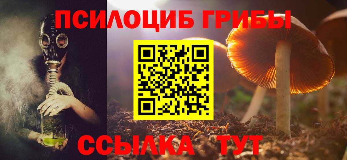 продажа наркотиков  Вход с VPN  Бузулук  Псилоцибиновые грибы мухоморы 